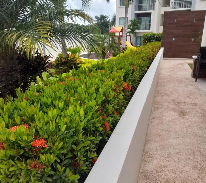 Photo of Buildings in Cancun
