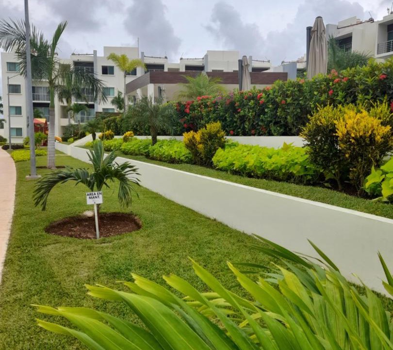 Photo of Others in Cancun