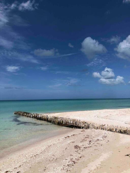 Photo of Outdoor in Chuburna Puerto