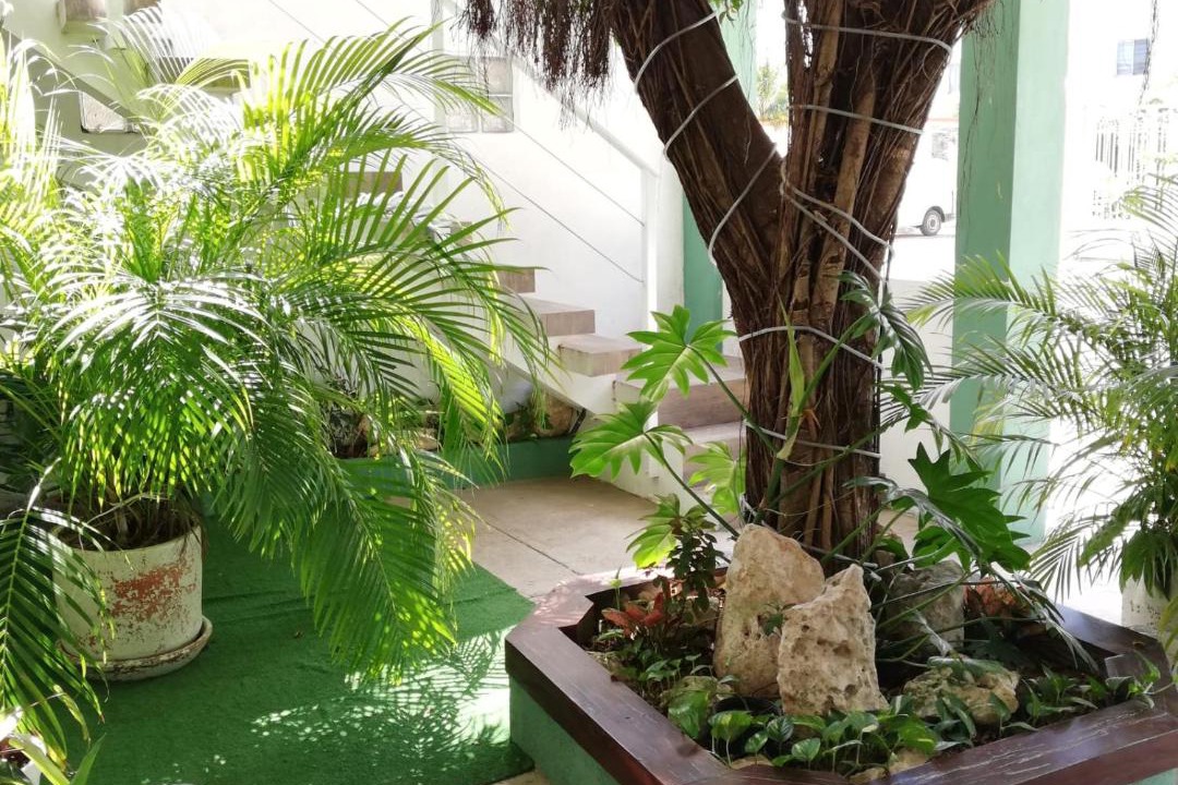 Photo of Patio Balcony in Cancun