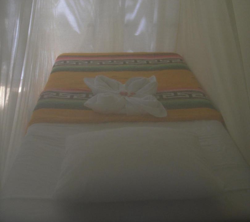 Photo of Others in Zona Hotelera