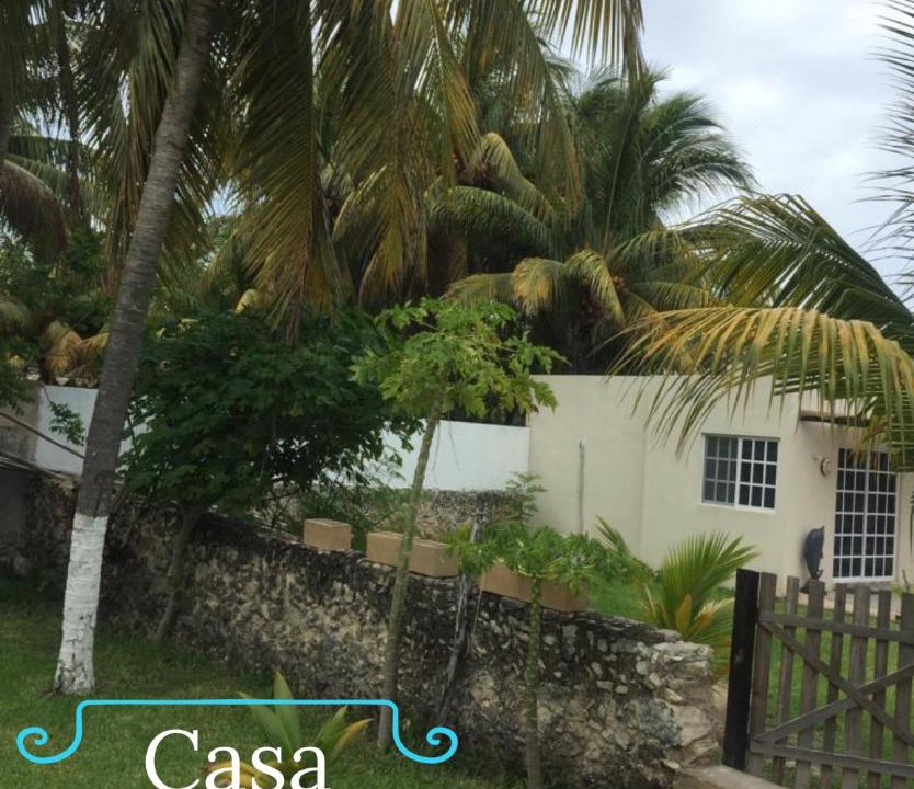 Photo of Buildings in Sisal