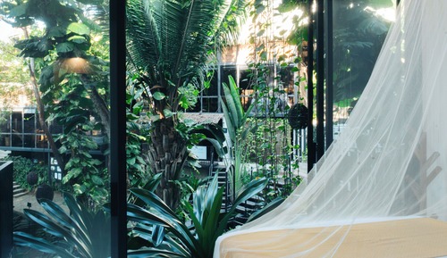 Suite, Garden View