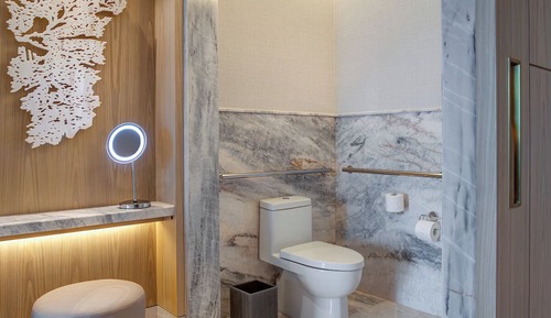 Room, 1 King Bed, Accessible (Roll In Shower)