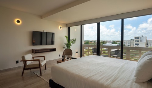 Deluxe Studio Suite, 1 King Bed, Balcony, Park View