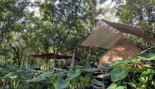 Luxury Tent, Garden View, Poolside
