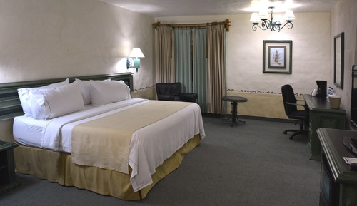 Suite, 1 King Bed