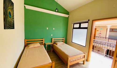 Basic Twin Room