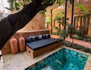 GARDEN JR SUITE PLUNGE POOL