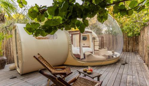 Double Room with Patio
