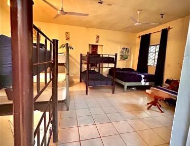 Bed in 8-Bed Dormitory Room