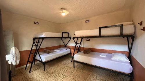 Bed in 4-Bed Mixed Dormitory Room