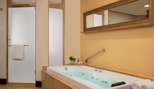 Preferred Club with Plunge Pool and Outdoor Jacuzzi (King bed)