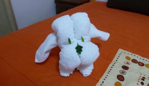 Deluxe Double Studio