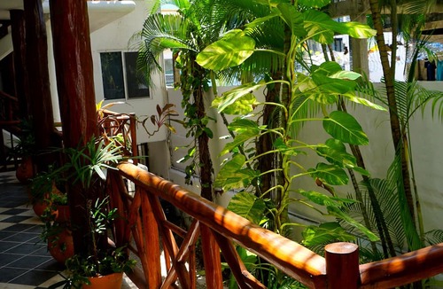 Zazil-ha Hotel | Selva y Mar Apart Hotel - 5Th. Ave