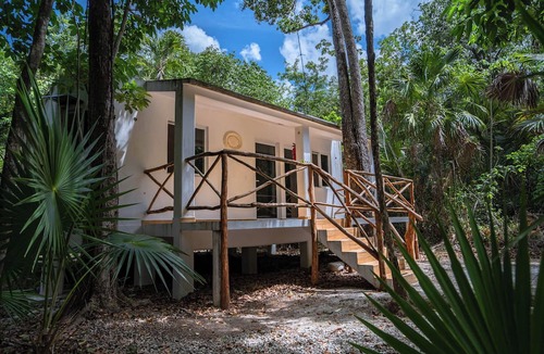 Leona Vicario Cabin | Jolie Jungle Eco Hotel