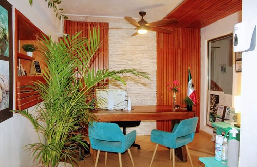 Centro Hostel | Pata de Perro Bacalar
