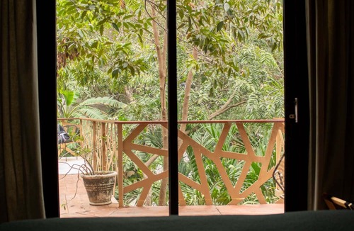 Tulum City Center Hotel | Bufo Alvarius