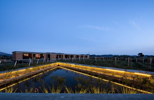Valle de Guadalupe Bed & Breakfast | Santulan