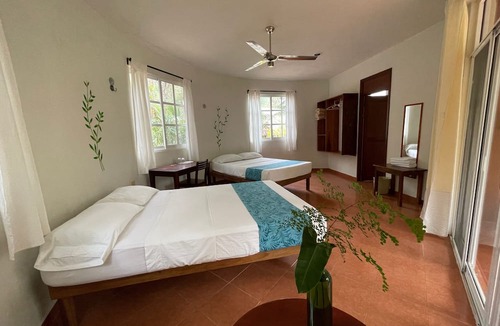 Santa Elena Bed & Breakfast | Eco-Hotel Nueva Altia