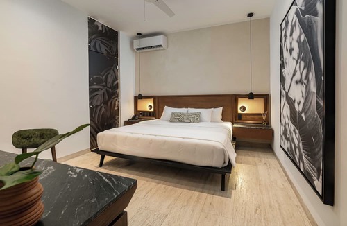 Zona Paseo Montejo Hotel | Casa Continental Hotel Boutique y Suites