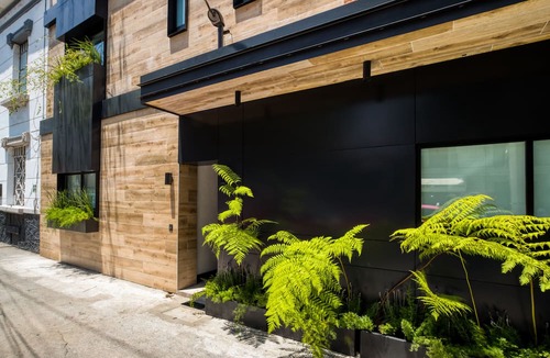 Colonia Roma Apartment | ULIV Roma Norte