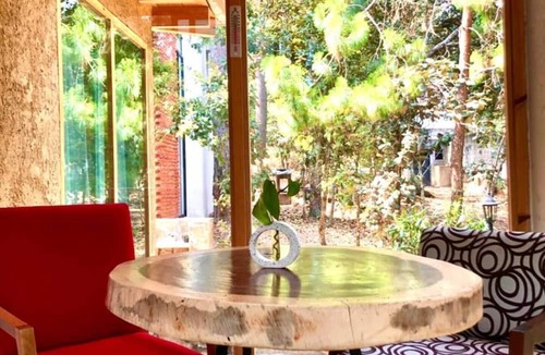 Zinacantan Cabin | Beautiful cabin in the middle of the forest, Cabaña Colibrí.
