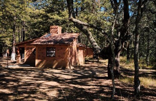 Acambay de Ruiz Castaneda Other | Parque La Mesita del oso bueno