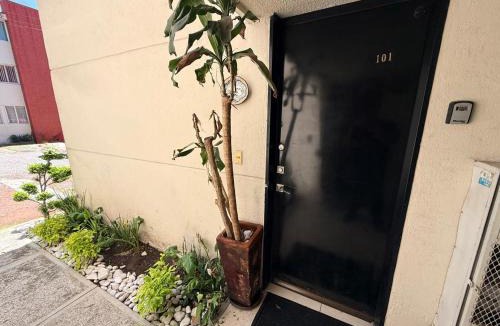 Cholula Apartment | Departamento en San Andrés Cholula PLANTA BAJA
