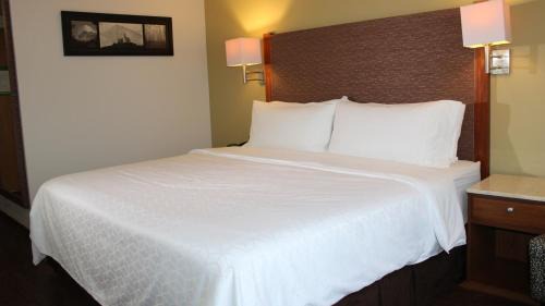 Orizaba Hotel | Holiday Inn Orizaba by IHG