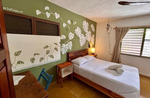 Colonia Adolfo Lopez Mateos Hostel | Casa Samay