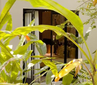Tancanhuitz Hotel | Gran Tamoanchan