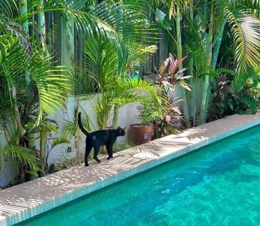 Majahual Hotel | Hotel Jaiba Mahahual - Adults Only