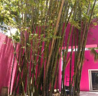 Colonia Centro House | Casa Isabella