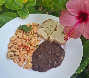 El Cuyo Hotel | Mexhe Hotel El Cuyo