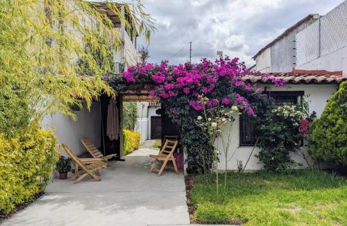 De Mexicanos House | Casa Mua
