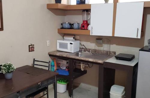 Zona Centro Apartment | Departamento 2 camas matrimoniales K, wifi, Aire acondicionado, estacionamiento cruzando calle