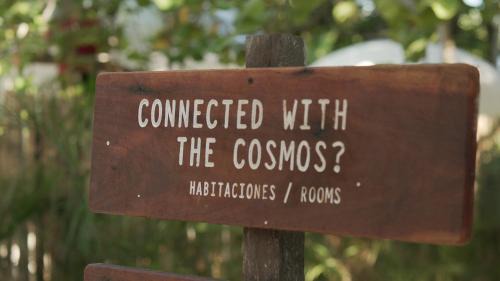 Playa Paraiso Hotel | Astral Tulum