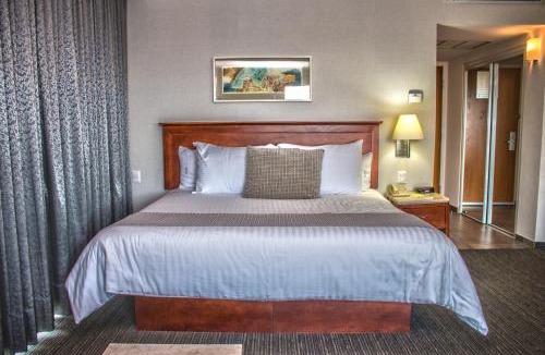 Celaya Hotel | Casa Inn Business Hotel Celaya