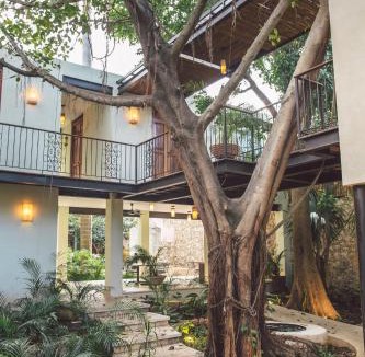 Zona Paseo Montejo Hotel | TreeHouse Boutique Hotel, an adults only boutique hotel