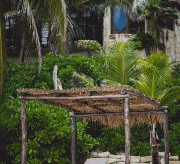 Zona Hotelera Hotel | NEST Tulum