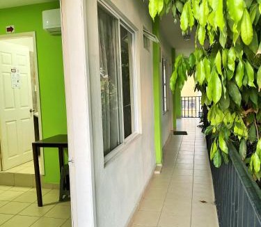 Zona Centro House | Hostal Casa Huasteca