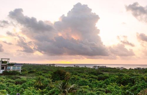 Luis Donaldo Colosio Hotel | Hotel 52 Playa del Carmen