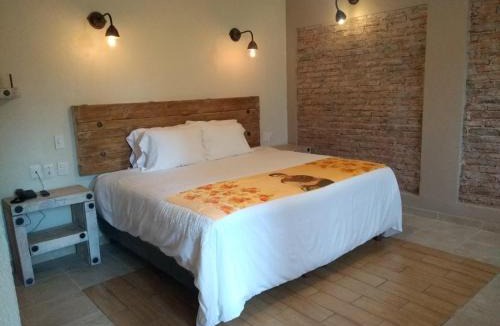 Zona Centro Hotel | Casa Naré Adults Only