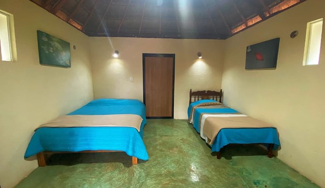 Mangrove King Fishing Lodge