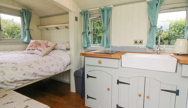 Cuckoo's Nest in Barnstaple