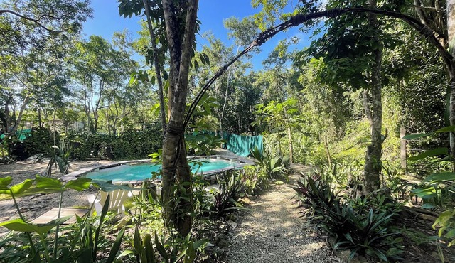Cozumel Glamping