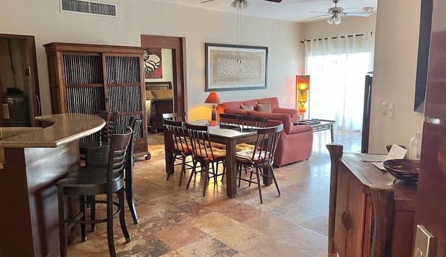 Fabulous Luna Encantada Luxury F3 Penthouse-Susan Mattingly