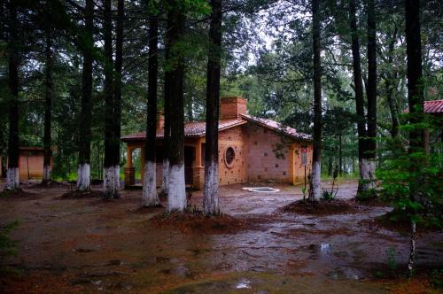 Parque La Mesita del oso bueno