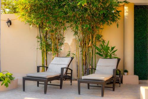Casa Amplia, 7 Hab con Alberca, Gym y Terraza in Mérida